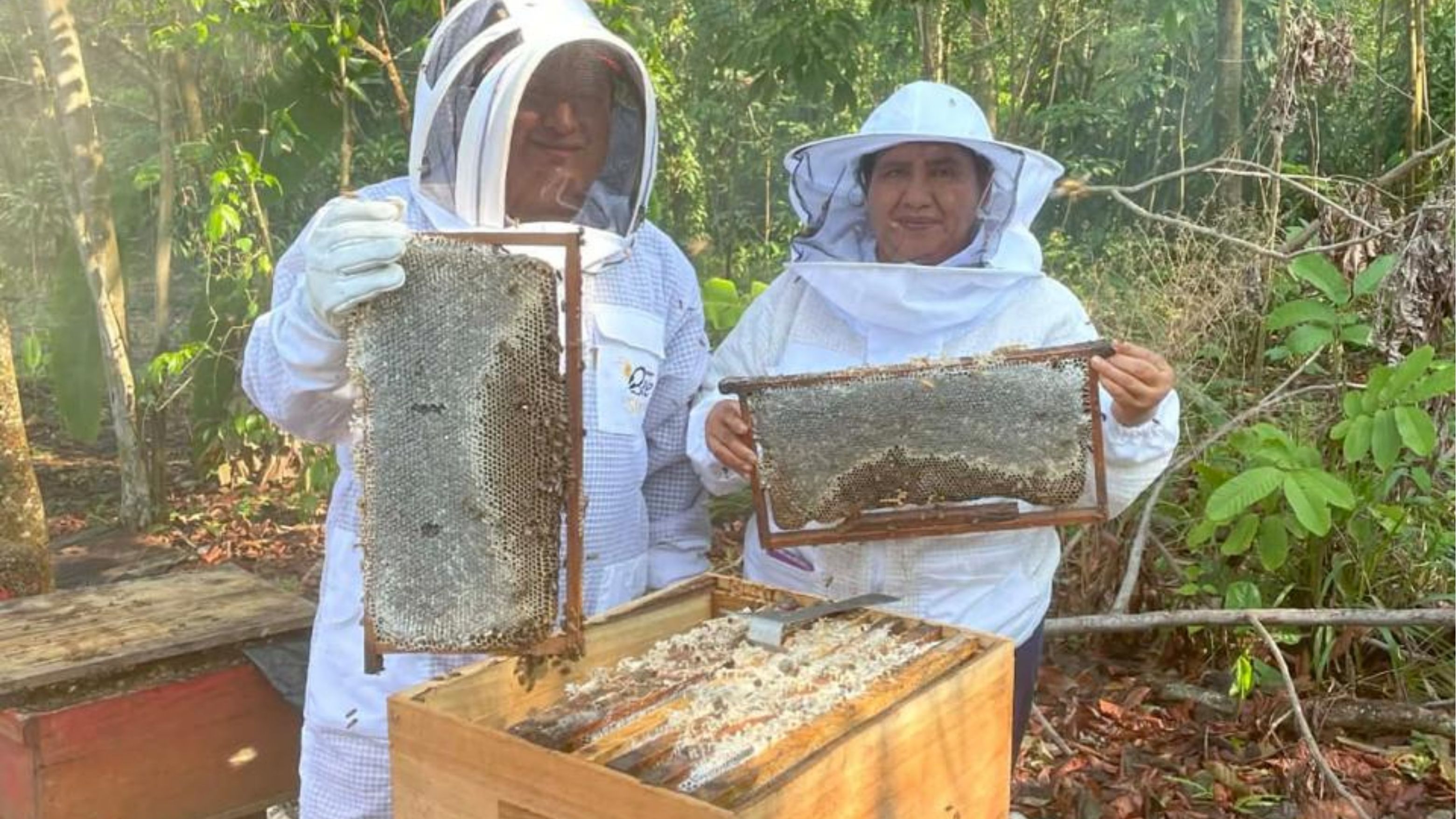 Apicultores en sus labores