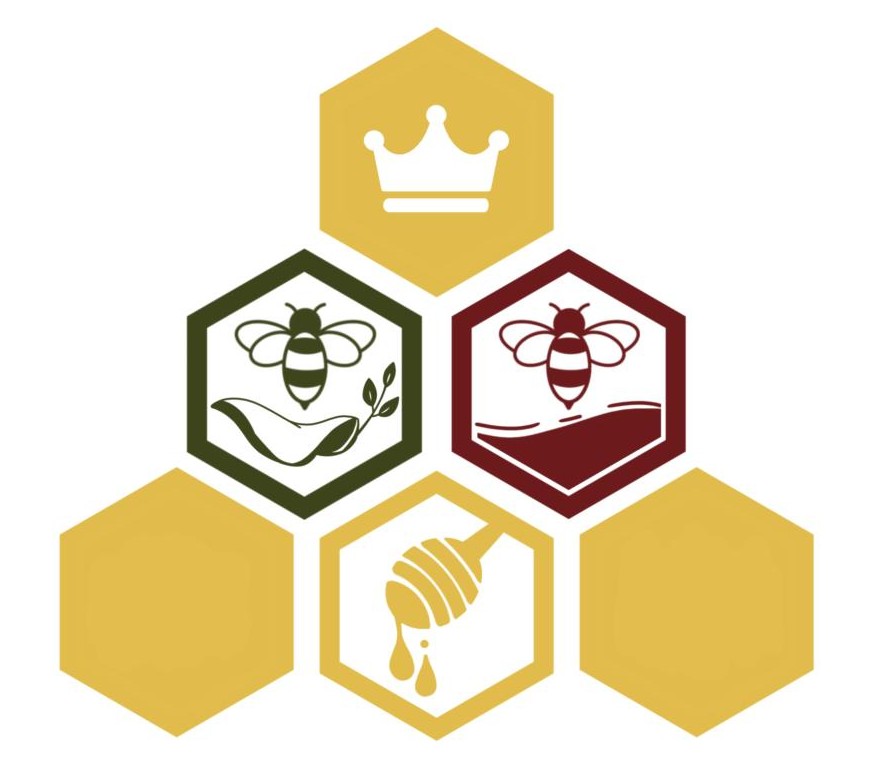 Logos Identidad de Marca